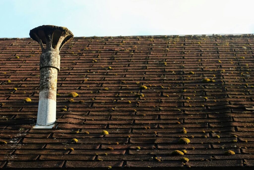 10 Natural Causes that Can Seriously Damage Your Roof - Peak Roofing & Exteriors